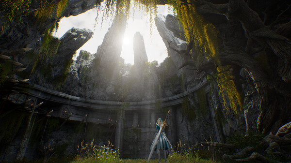 vindictus