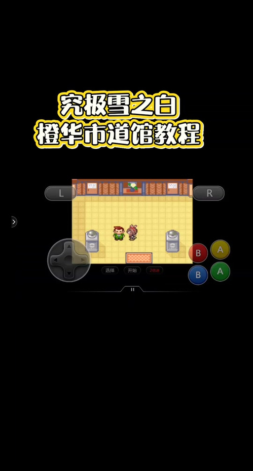 口袋妖怪游戏