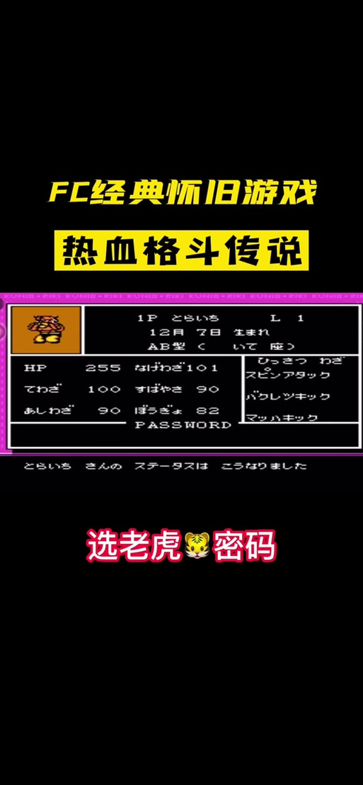 热血格斗老虎密码