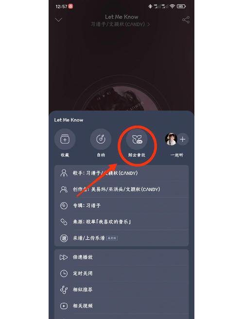 网易云音乐会员可以几台设备一起登录