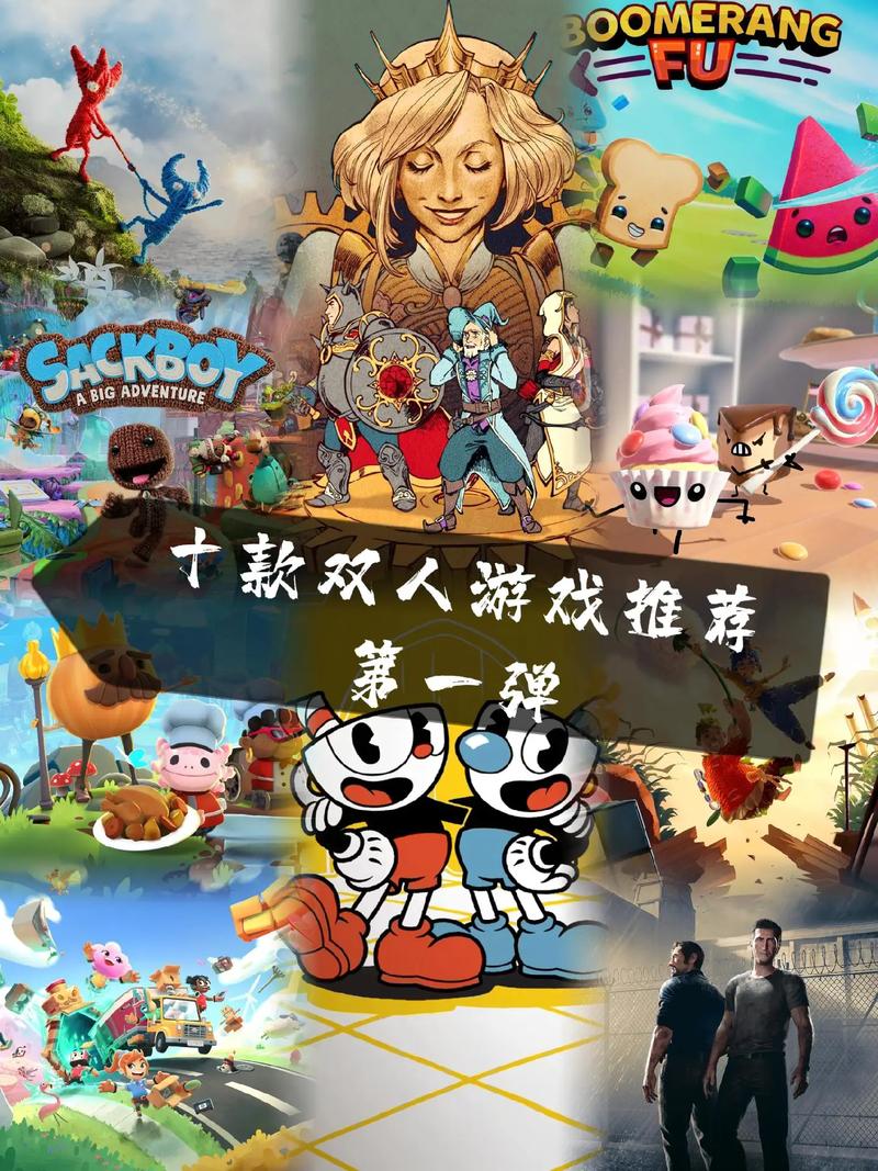 单机双人游戏