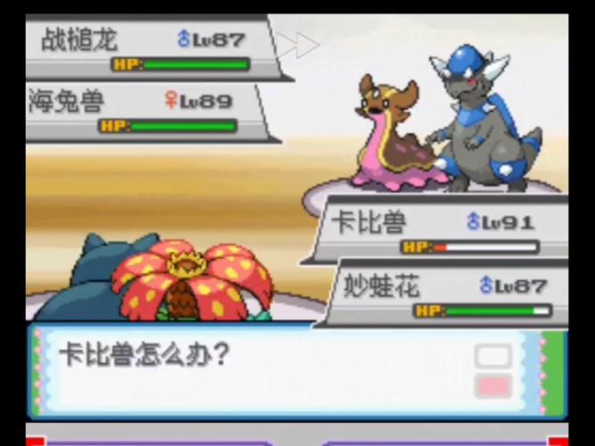 口袋妖怪金