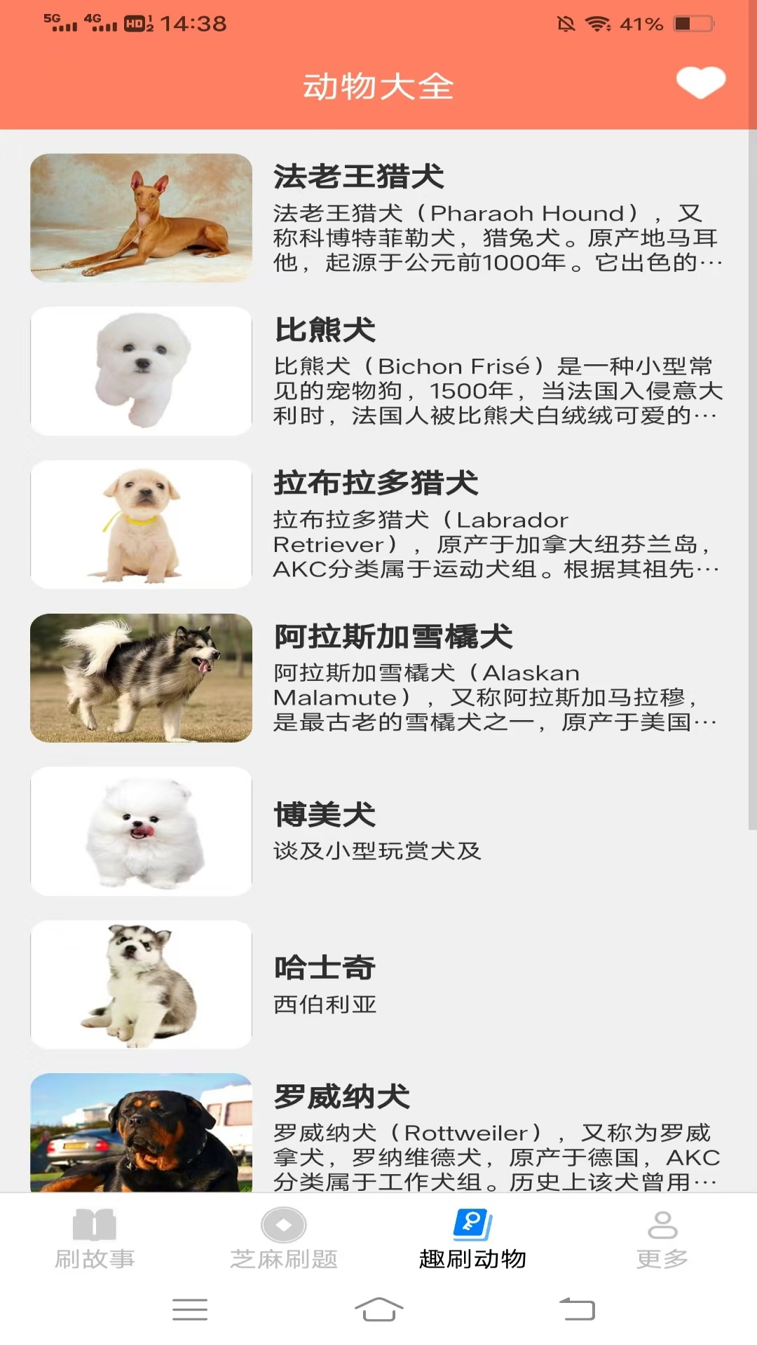 福运喜刷 v2.8.9.2 福运喜刷游戏截图