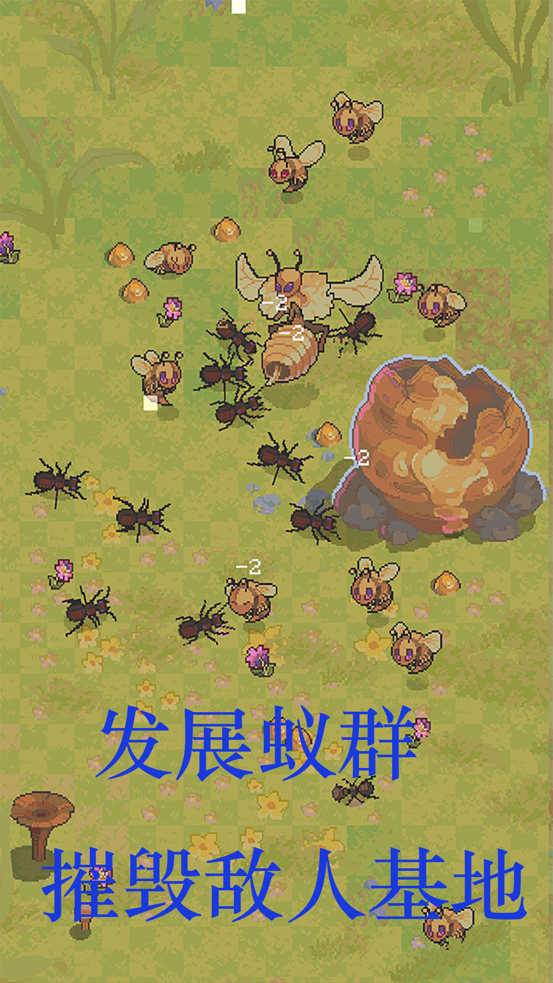 蚂蚁王国崛起腾讯版 v5 蚂蚁王国崛起腾讯版游戏截图
