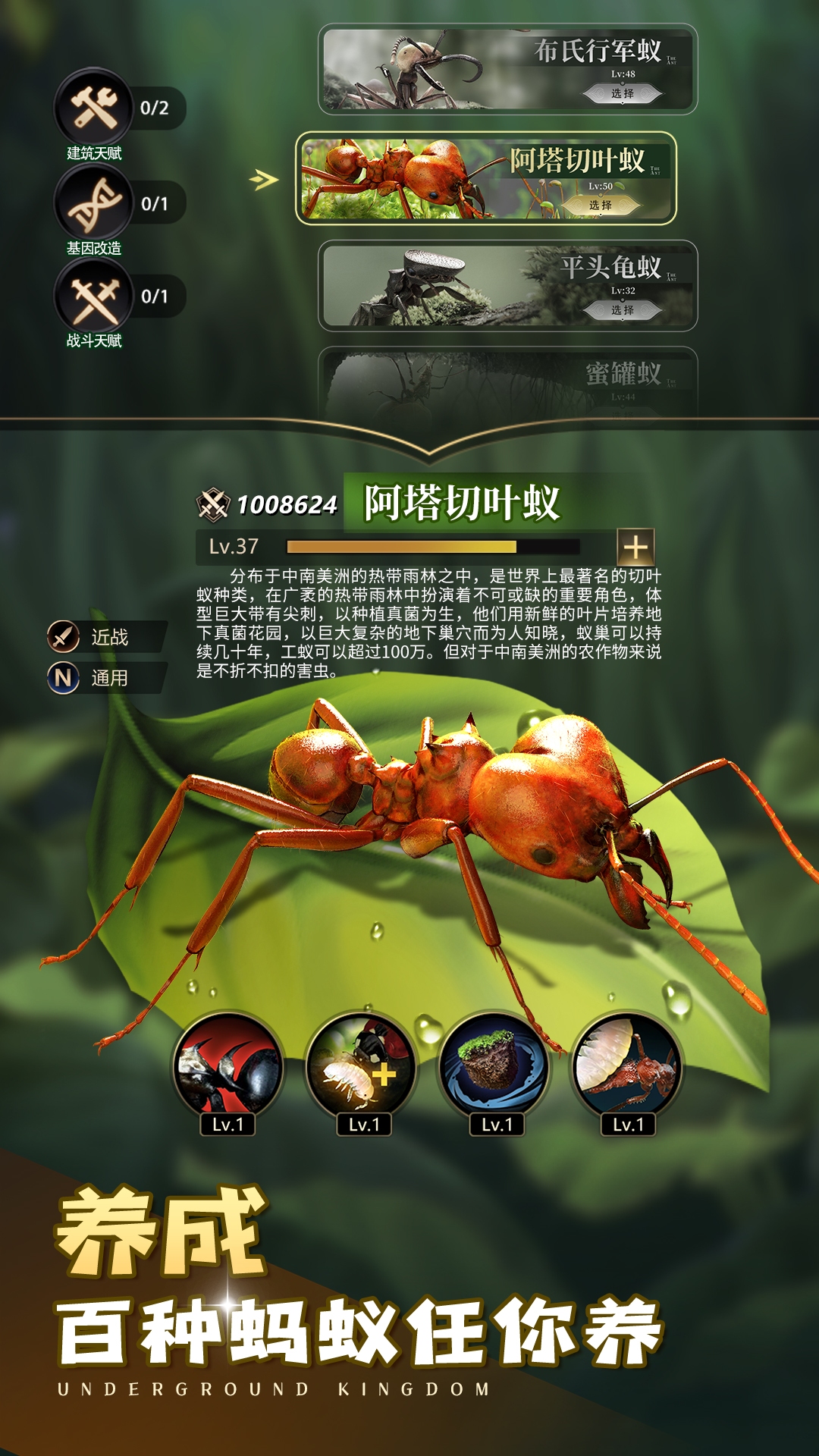 小小蚁国腾讯版 v3.0.60 小小蚁国腾讯版游戏截图
