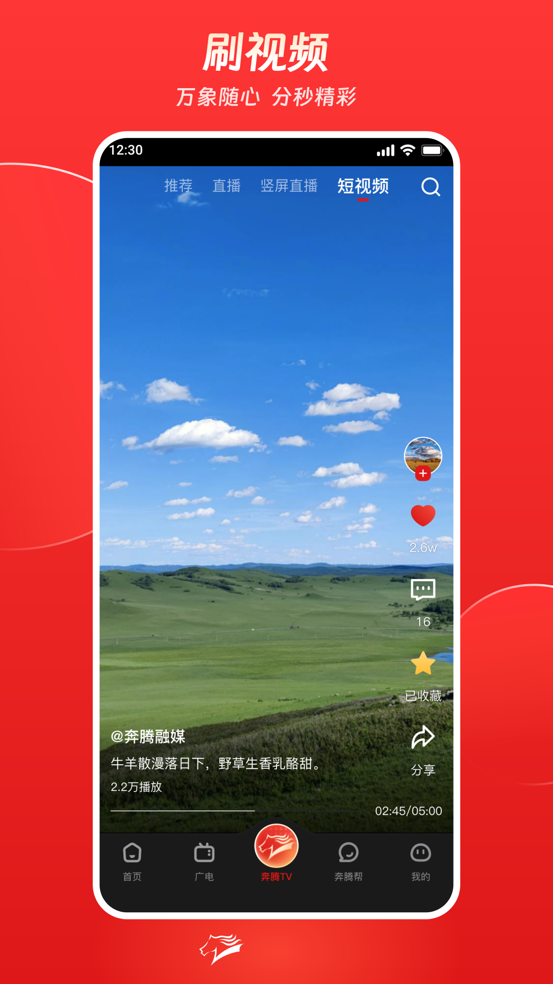奔腾融媒下载介绍图