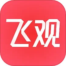 飞观