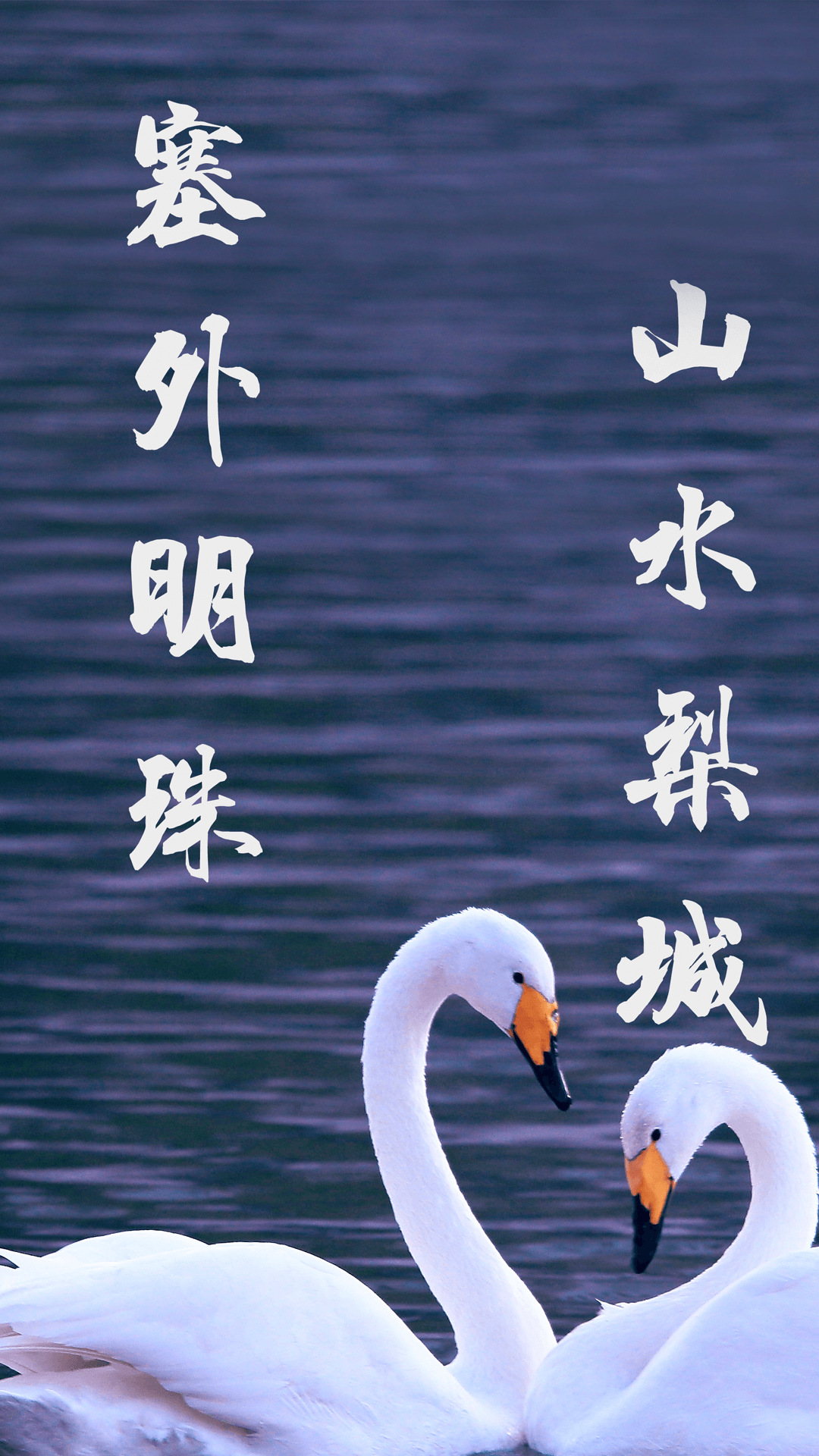 库尔勒好地方官方版 库尔勒好地方APP截图