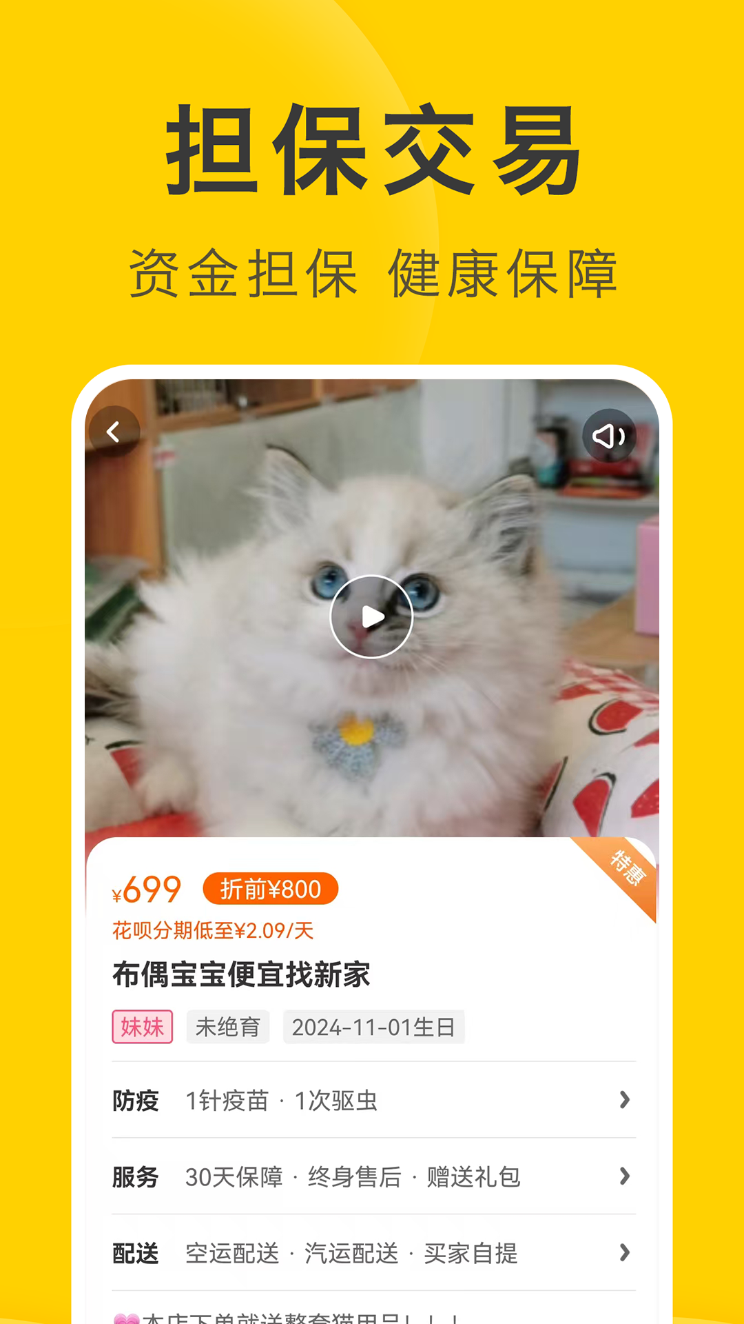 买只宠物下载介绍图