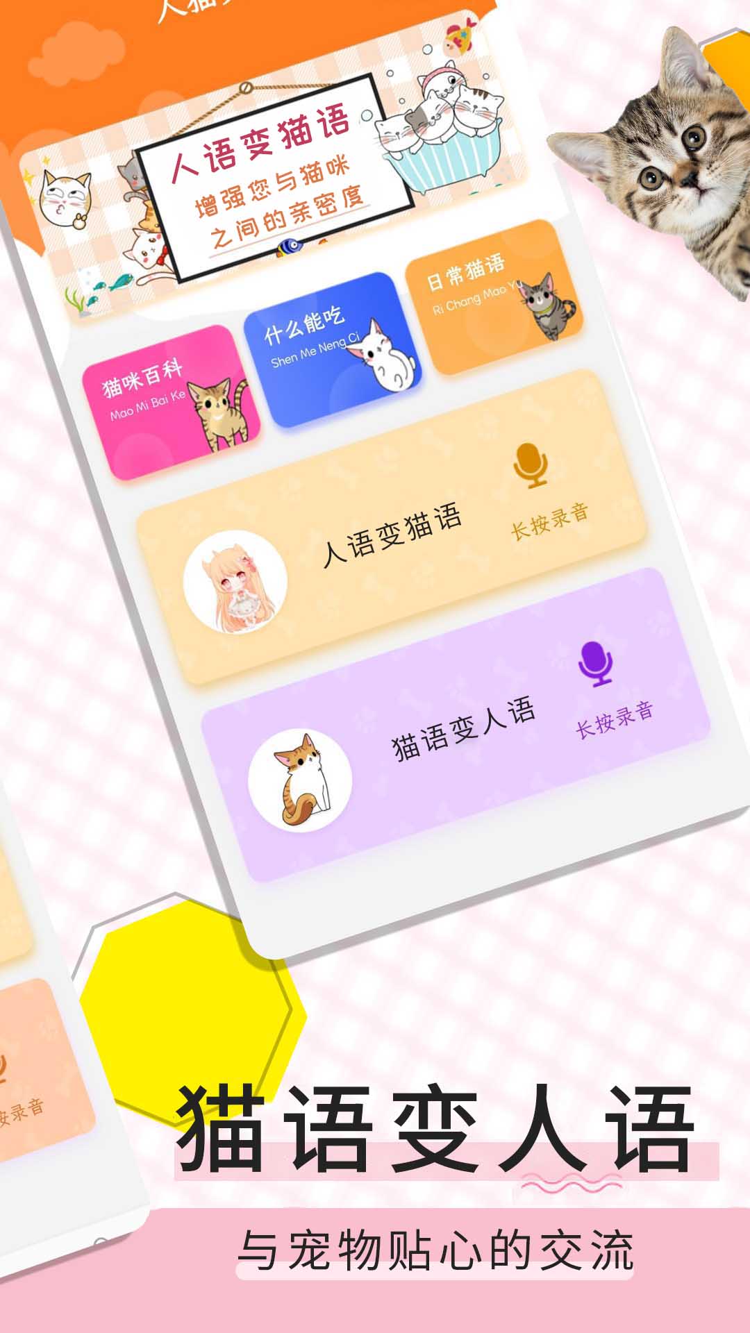猫语翻译宝app截图