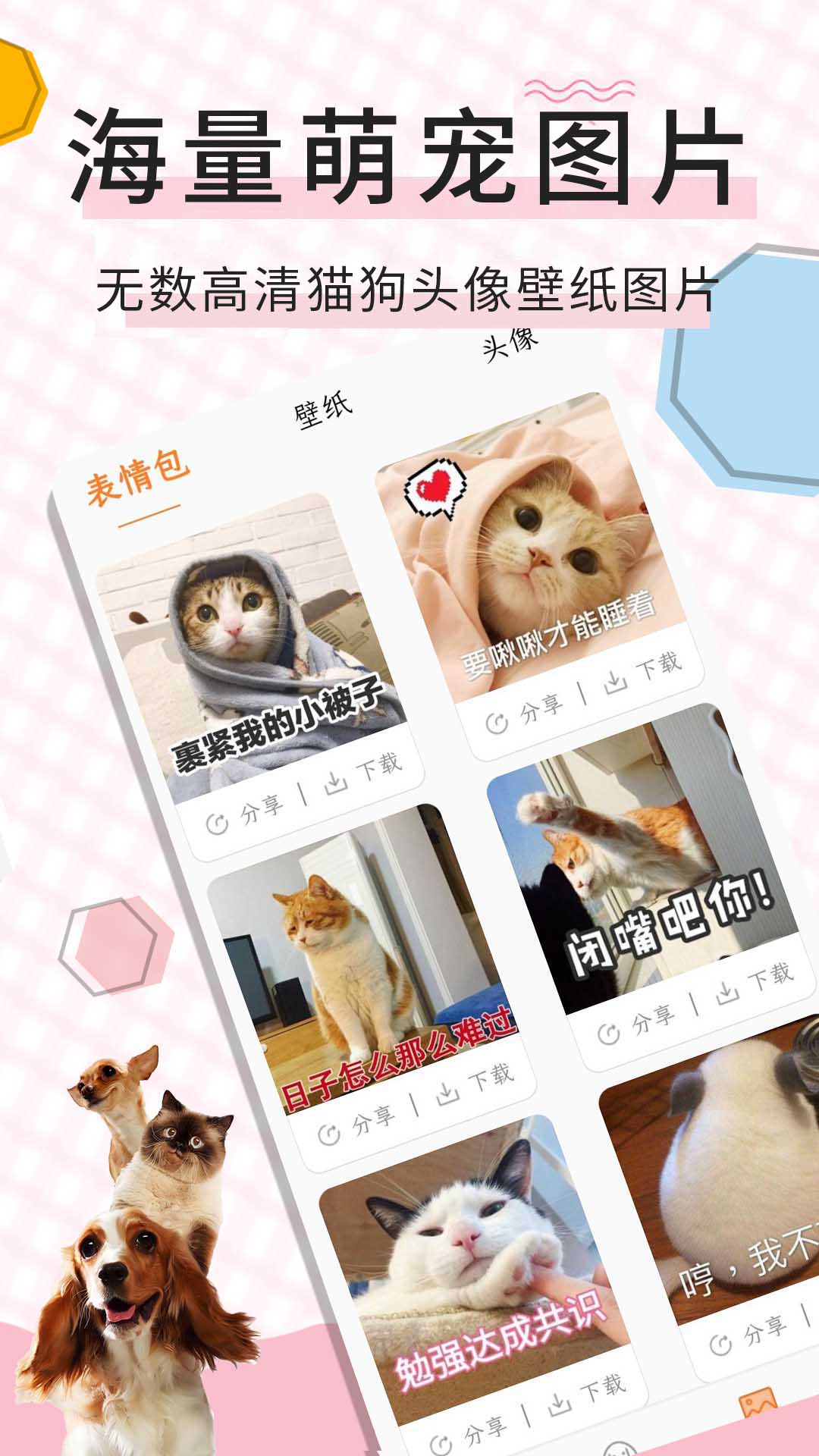 猫语翻译宝app截图