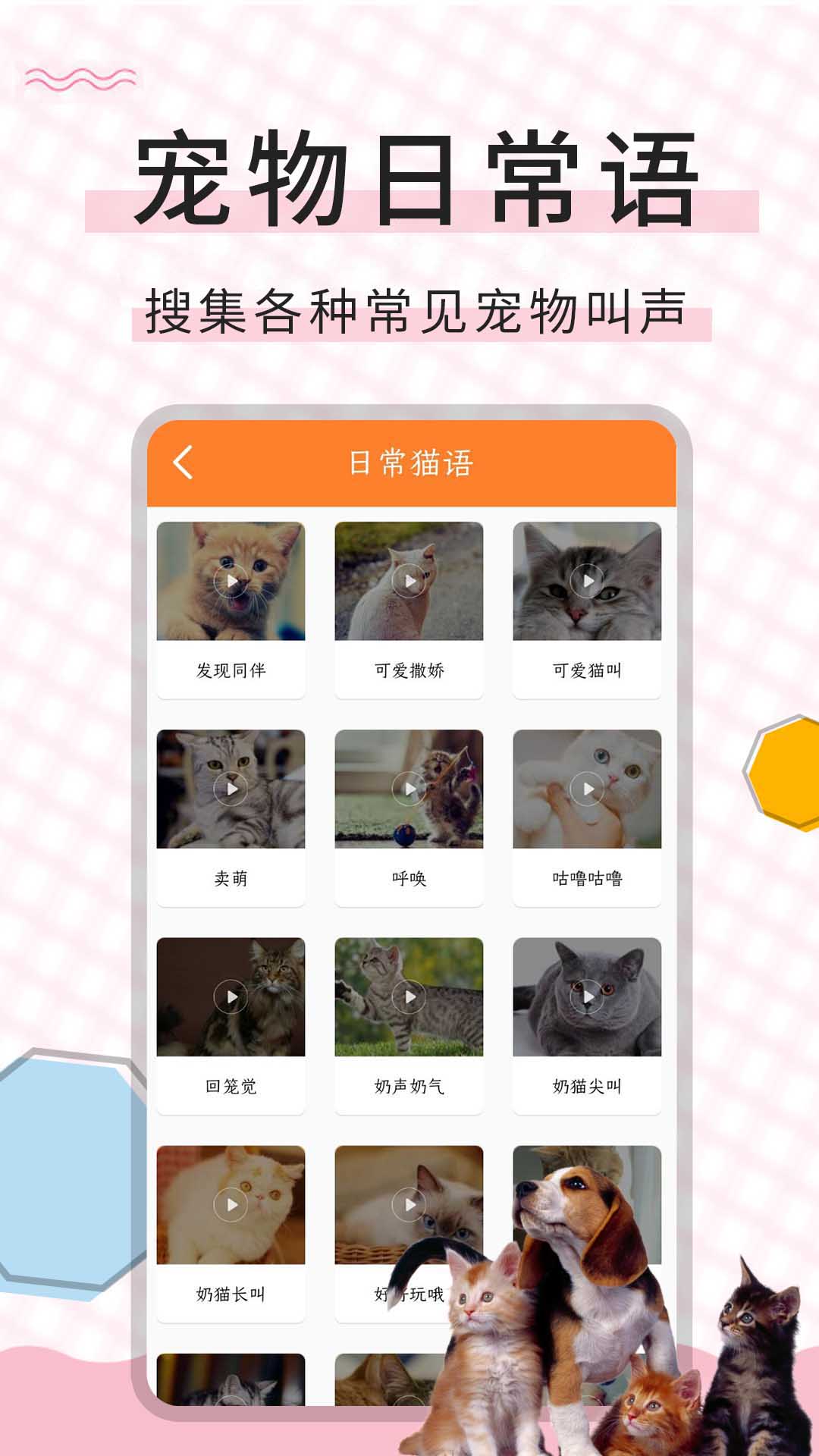 猫语翻译宝app截图