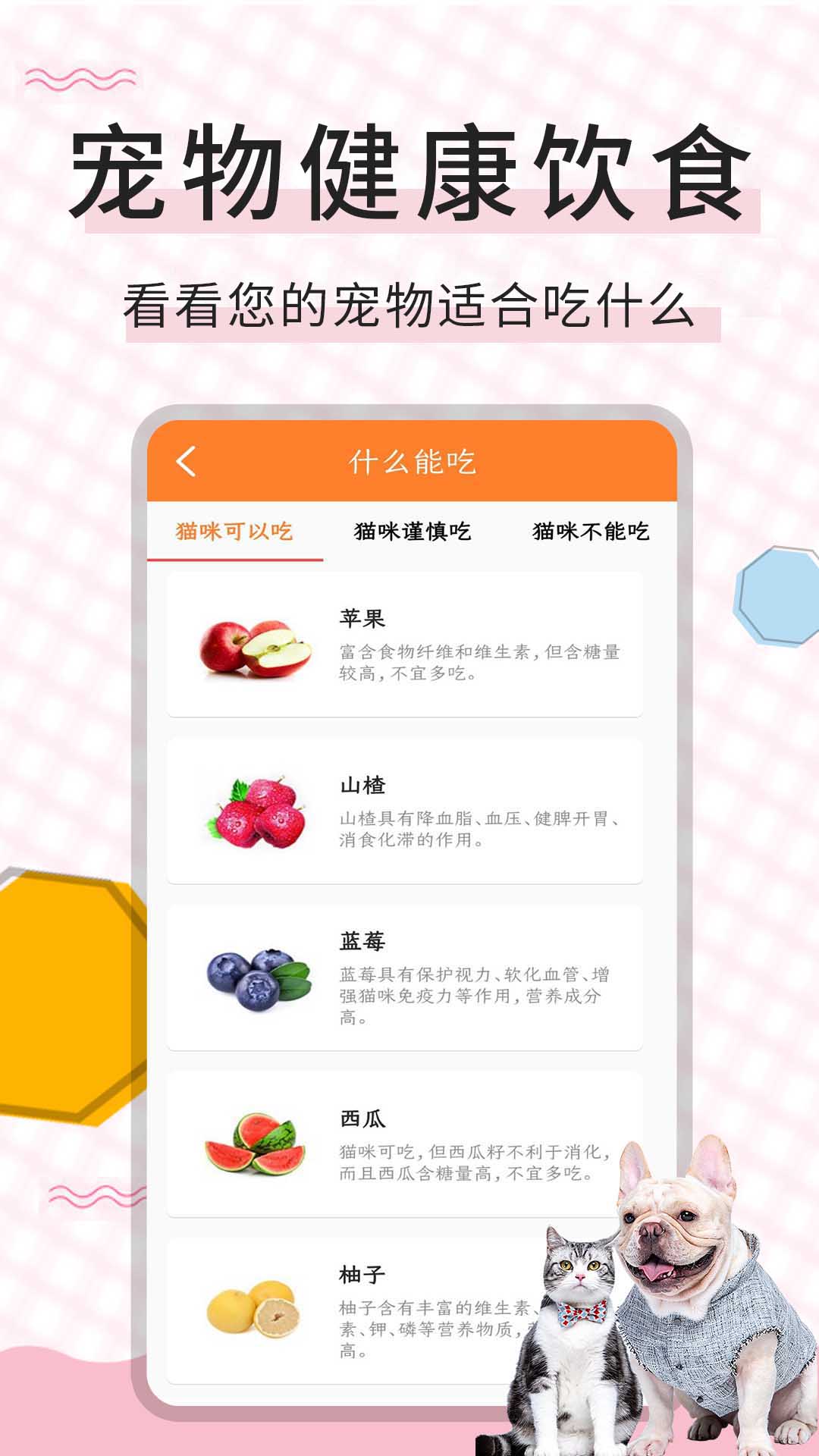 猫语翻译宝app截图