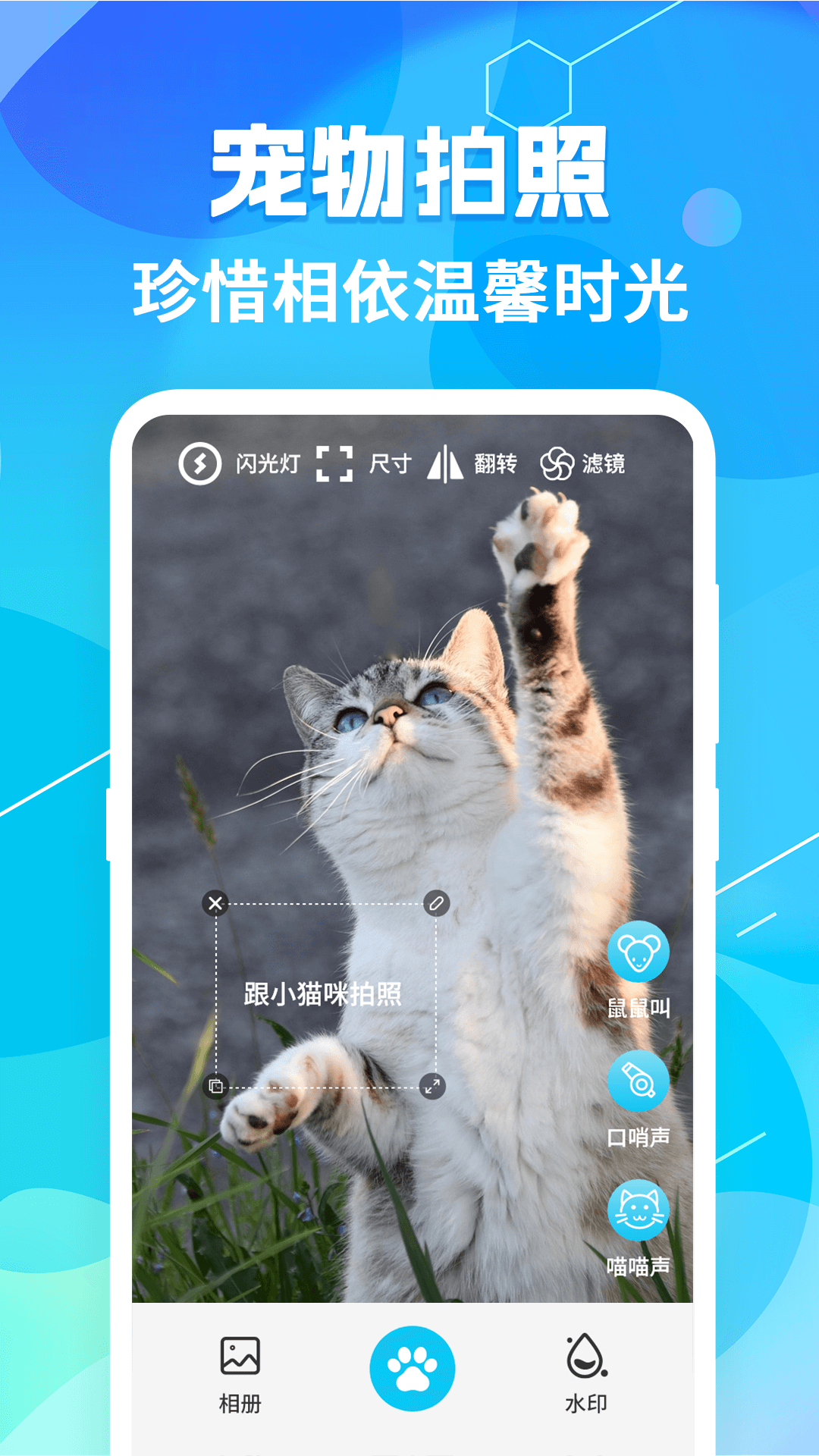 猫语翻译petapp截图