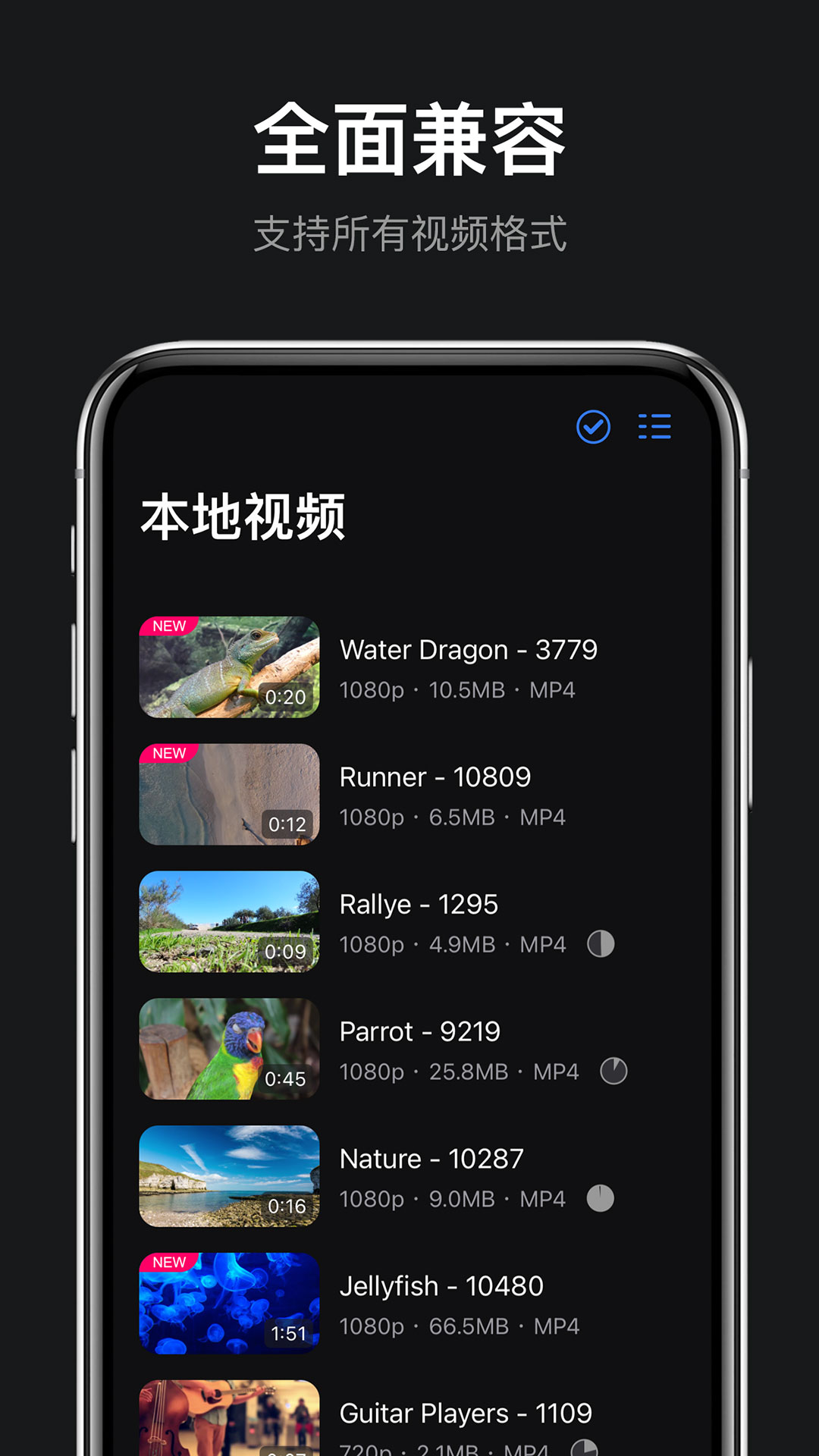 rPlayer下载介绍图