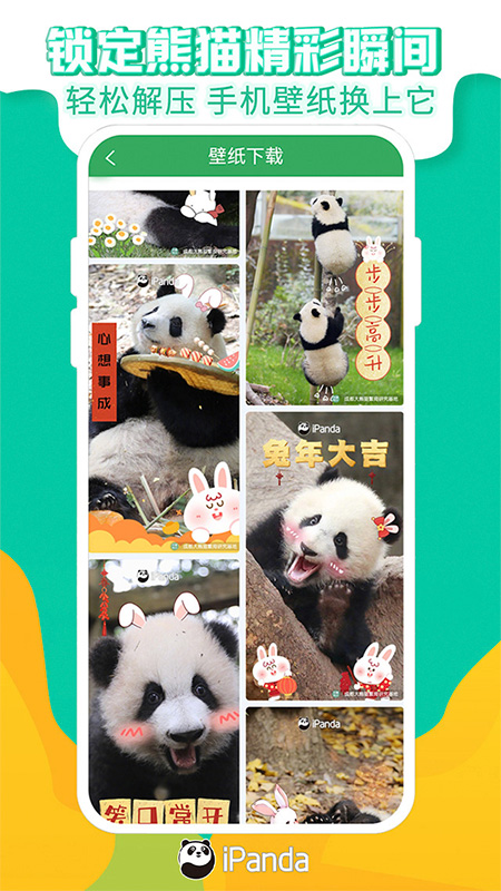 熊猫频道app截图