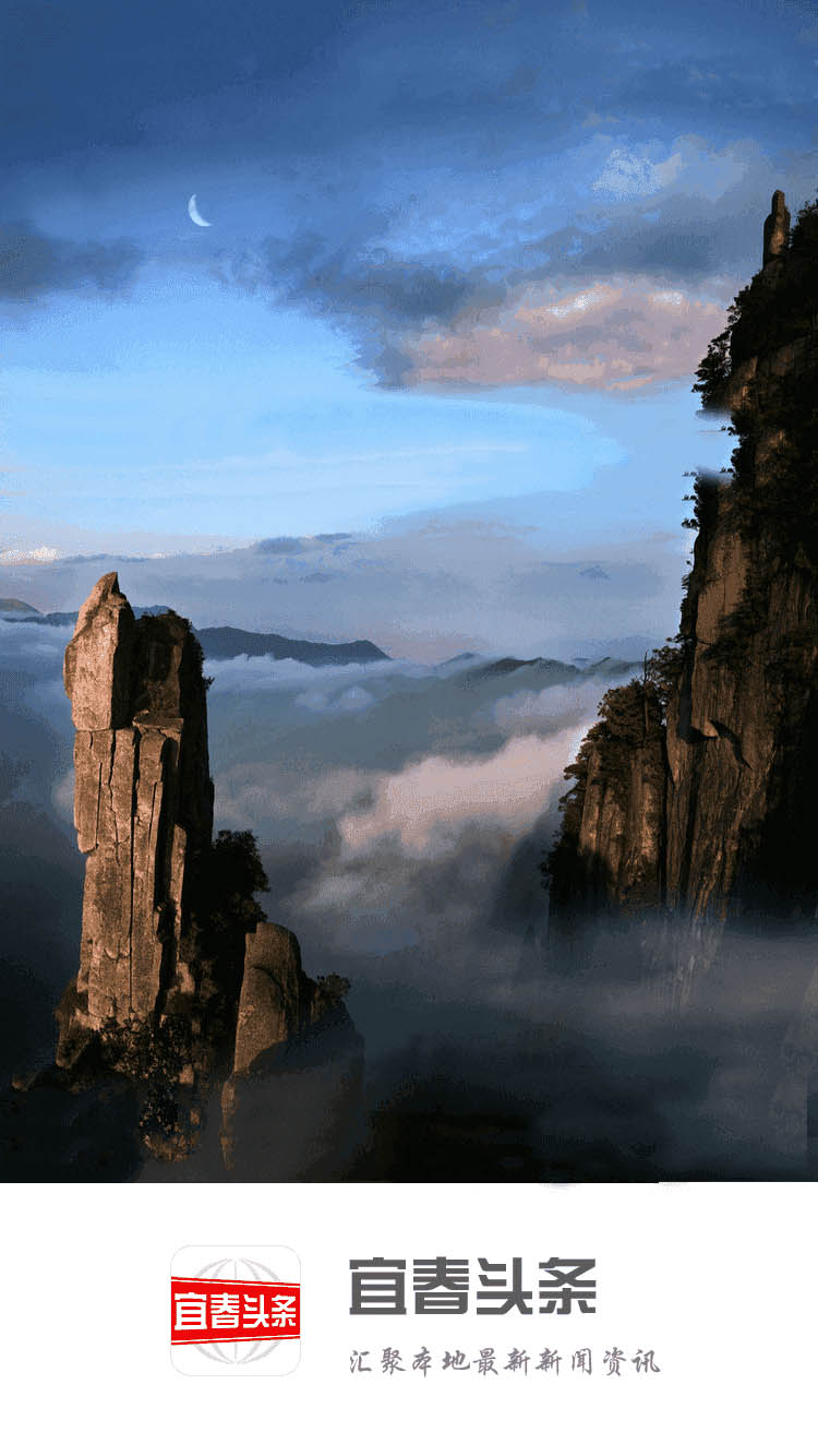 宜春头条app截图
