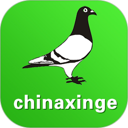 中信网