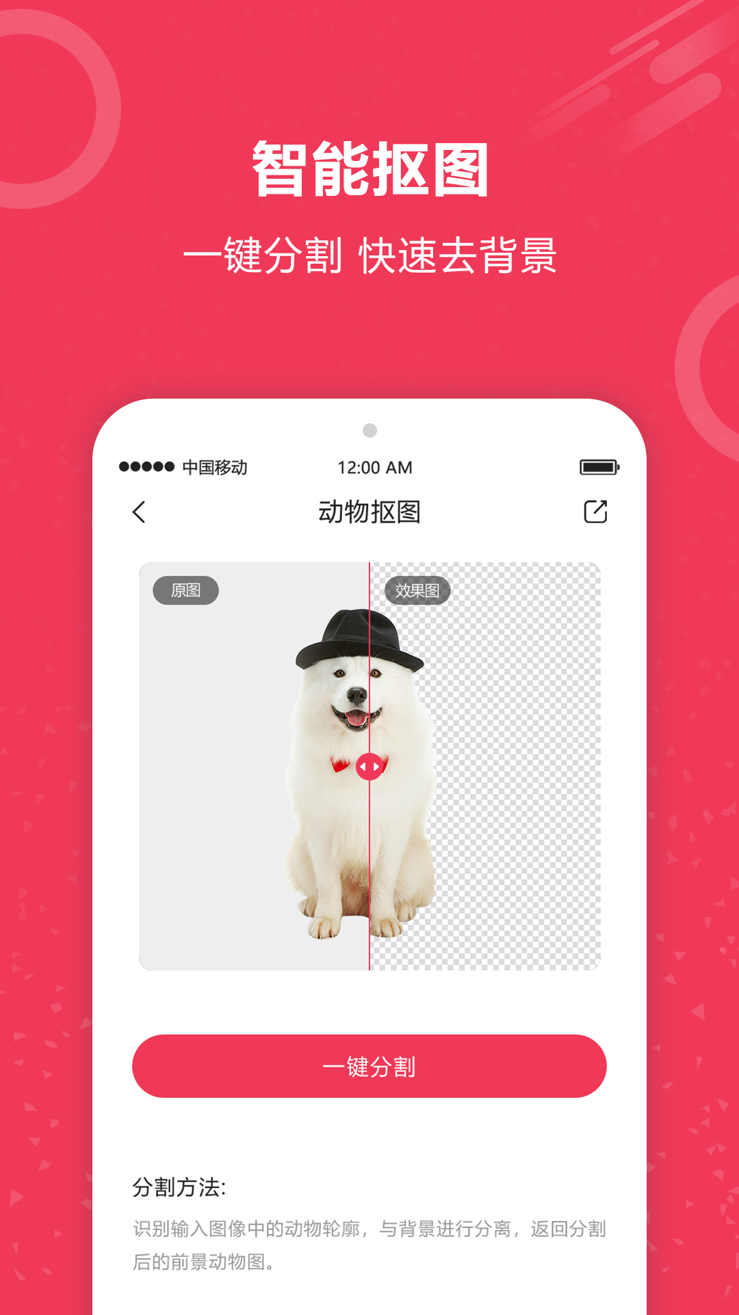 自动抠图神器下载介绍图